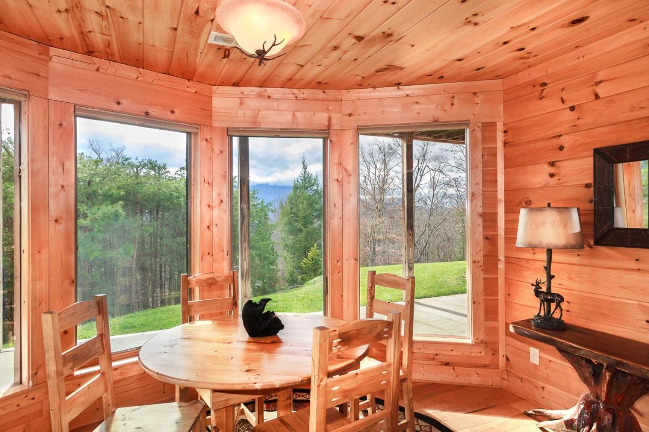 Pinnacle View Lodge By Stony Brook Cabins ガトリンバーグ エクステリア 写真